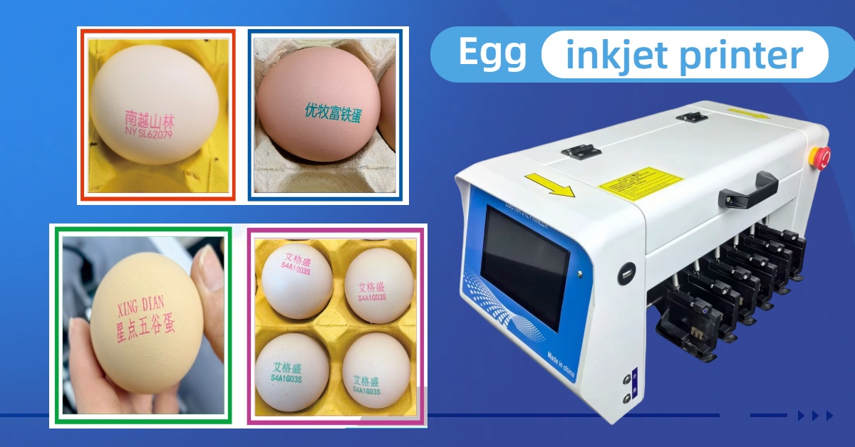 egg inkjet printer.jpg